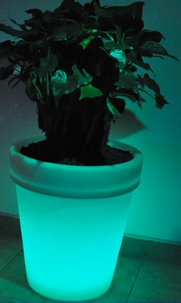 發光花盤 發光花盤